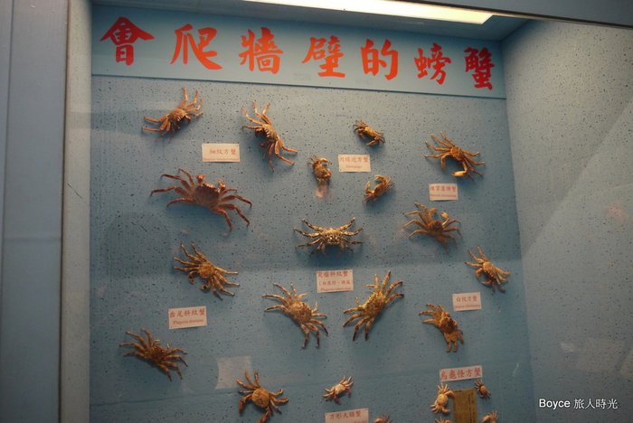 2012-4-28 台北.通榕古梁.跨海大橋.大義宮綠蠵龜.螃蟹館..二崁古厝.海豚灣飯店.rar