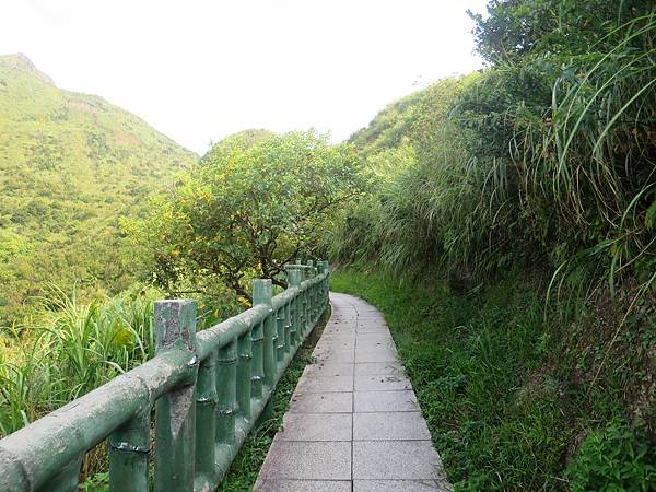 無耳茶壺山登山步道03.jpg