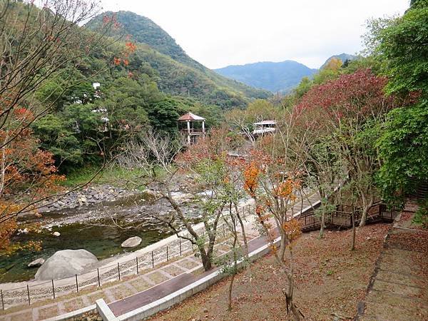 小烏來天空步道 (32).jpg