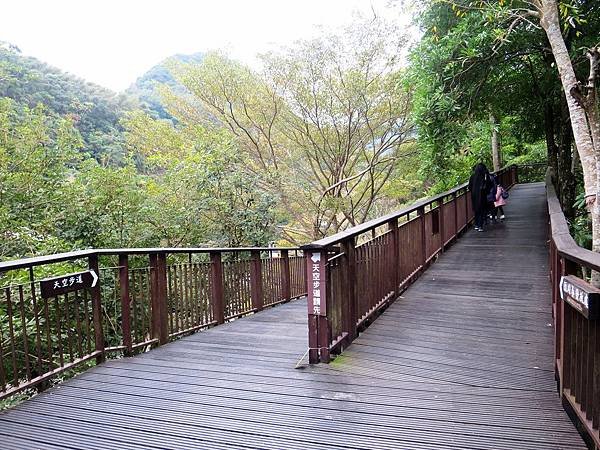 小烏來天空步道 (36).jpg