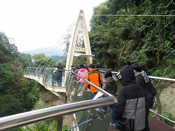 小烏來天空步道 (41).jpg