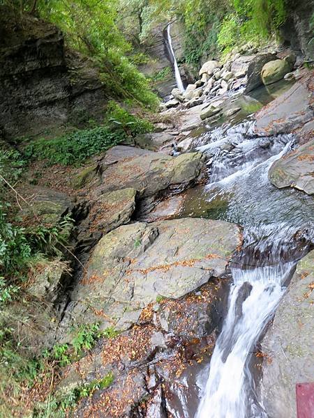 小烏來天空步道 (80).jpg