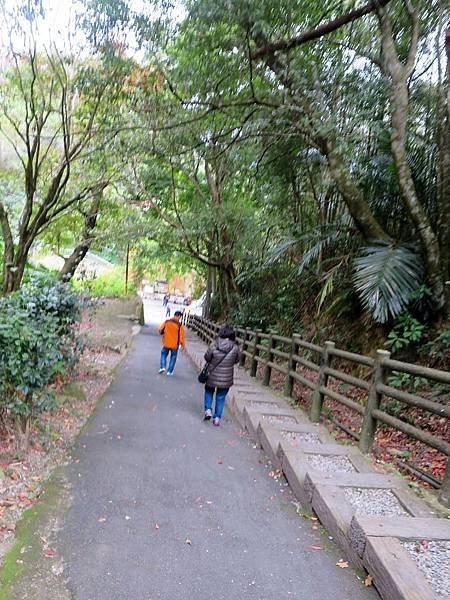 小烏來天空步道 (24).jpg