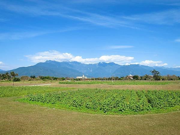 開心農場 (5)