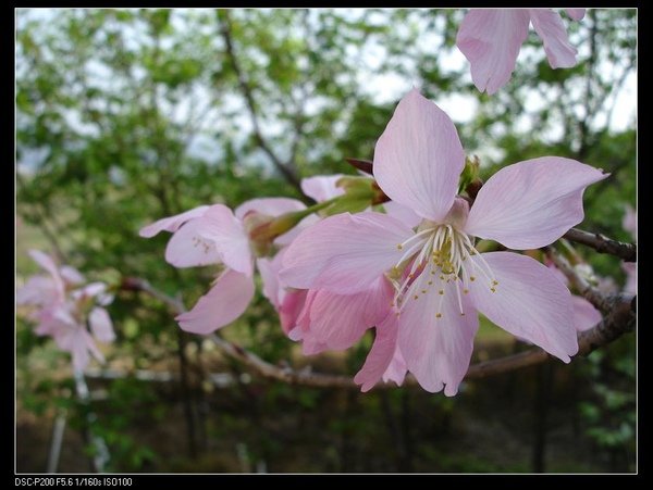 nEO_IMG_DSC08664.jpg