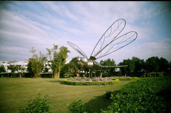72090008.JPG
