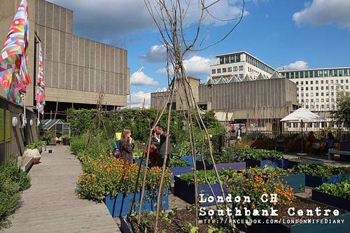 ROOF-GARDEN-CAFEBAR05