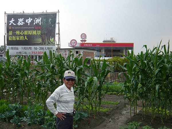 菜園