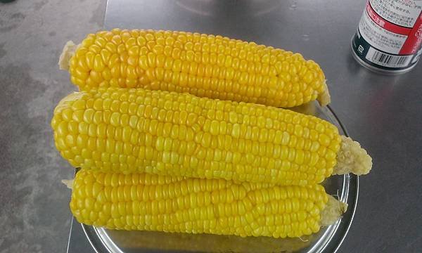 IMAG2810.jpg