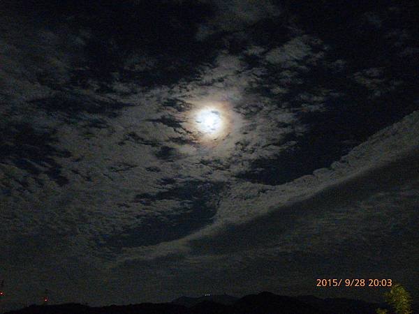 P1130863.jpg