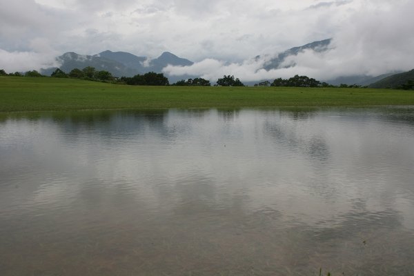 鹿野鄉永安村