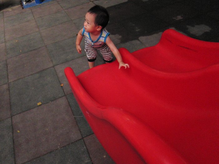 DPP_2380.JPG
