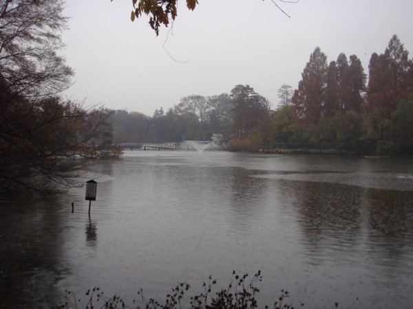 photo 122.jpg