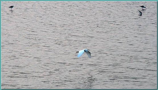IMG_9662.JPG