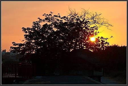 IMG_9935.JPG
