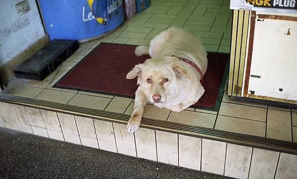img051