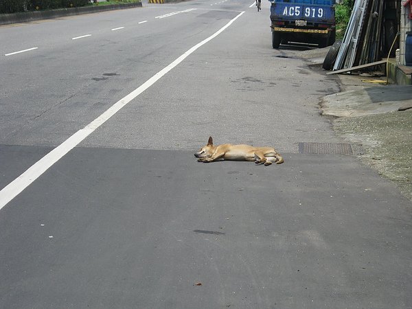 画像 785.jpg