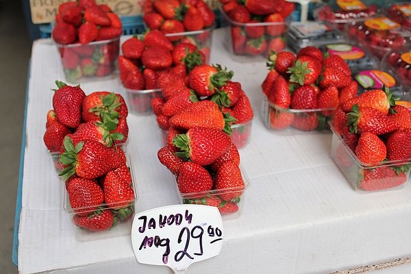 IMG_1357_nEO_IMG.jpg