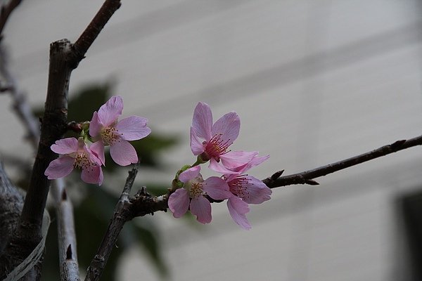 IMG_2927.JPG