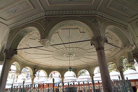 IMG_3629_nEO_IMG.jpg