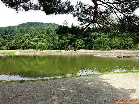 17毛越寺庭園大泉池-1.jpg