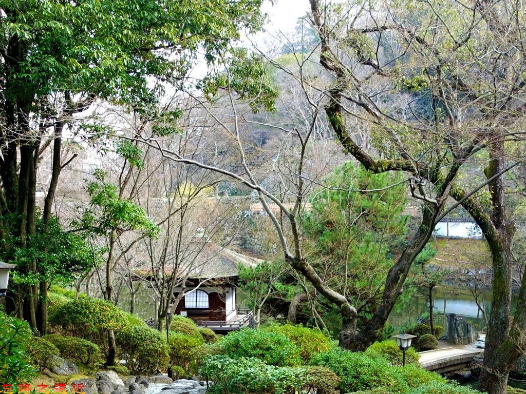 9和歌山城紅葉溪庭園.jpg