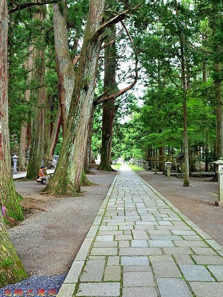 2高野山奧之院參道入口.jpg