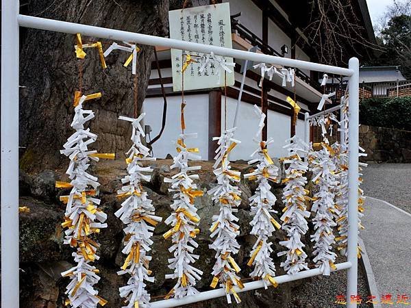 30吉備津神社銀杏木旁神籤-1.jpg