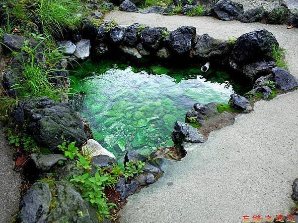 54西の河原公園路邊水池.jpg