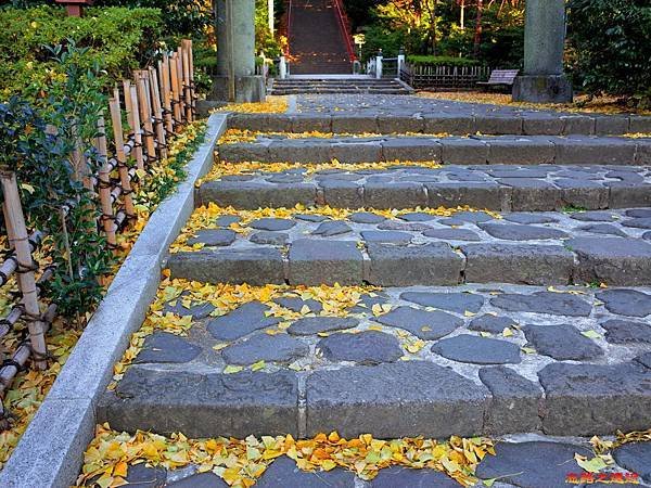 4大崎八幡宮二之鳥居前石段.jpg