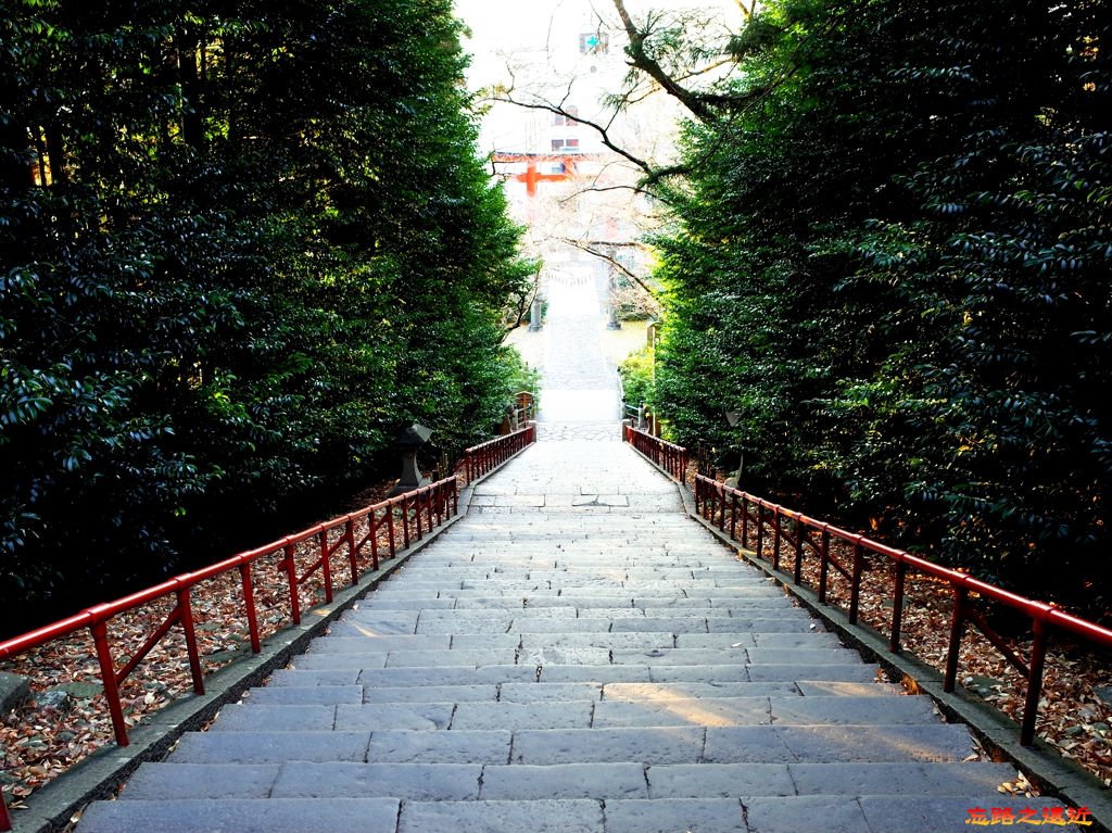 10大崎八幡宮大石段-2.jpg