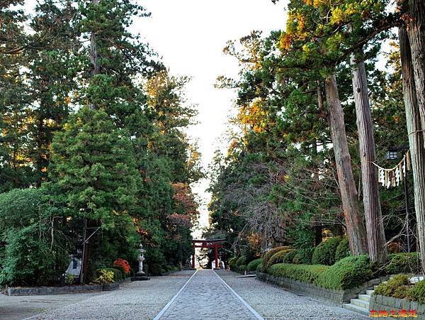 15大崎八幡宮石表參道-2.jpg