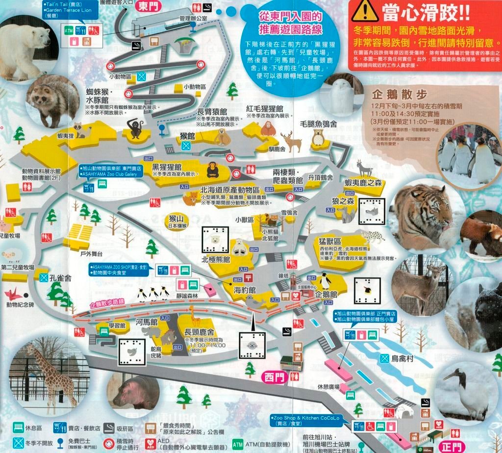 旭山動物園-冬-地圖