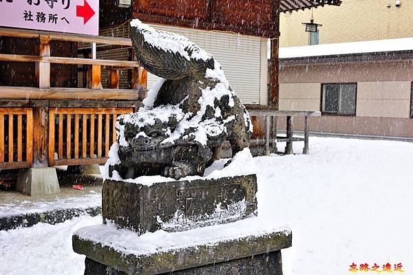 07北海道神宮頓宮本殿旁右狛犬