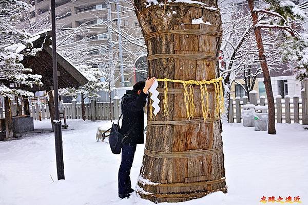 11北海道神宮頓宮撫神木祈願者.jpg