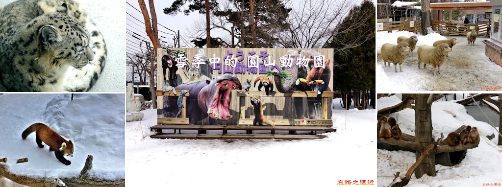 圓山動物園BANNER.jpg