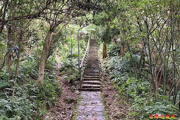 19飛龍步道樟山寺端.jpg