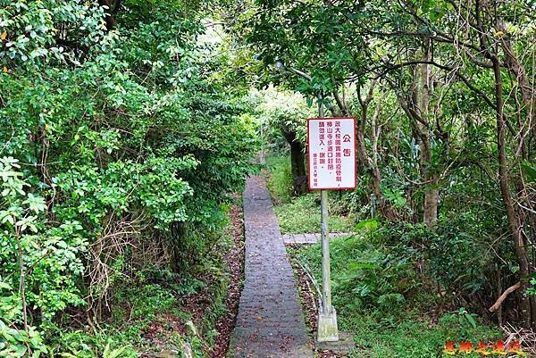 21飛龍步道樟山寺端往政大後山.jpg