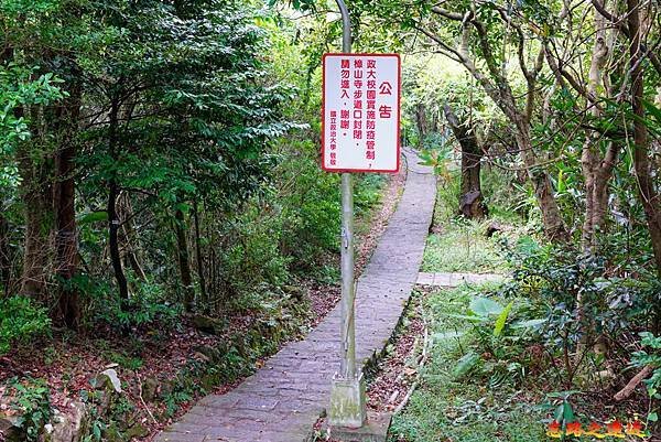 33 樟山寺指南國小步道出口望飛龍步道.jpg