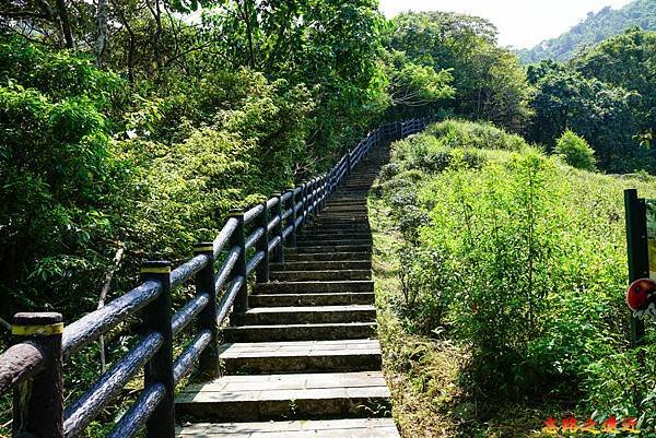 05 貓空越嶺步道第一段長階梯.jpg