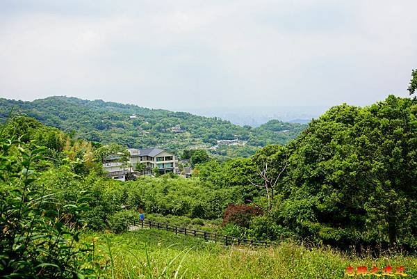 11 貓空越嶺步道長階梯眺望.jpg