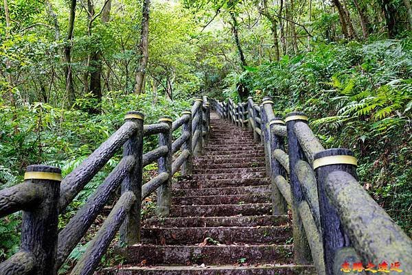 16 貓空越嶺步道往鵝腳格山連續長階梯-2.jpg