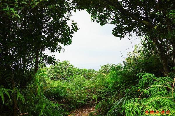 06 鵝角格山道間懸崖處.jpg