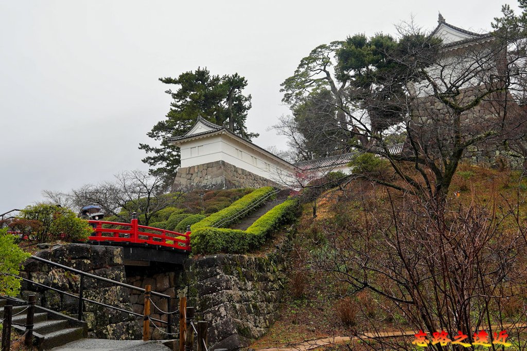 06 小田原城常盤木門前.jpg