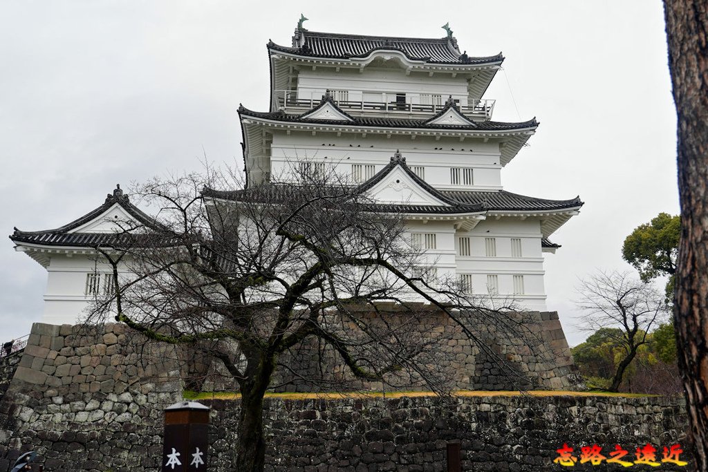 11 小田原城天守閣-1.jpg