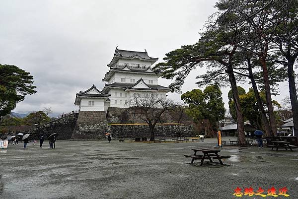 10 小田原城本丸廣場望天守閣.jpg