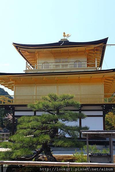 金閣寺