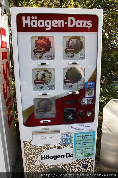 金閣寺
