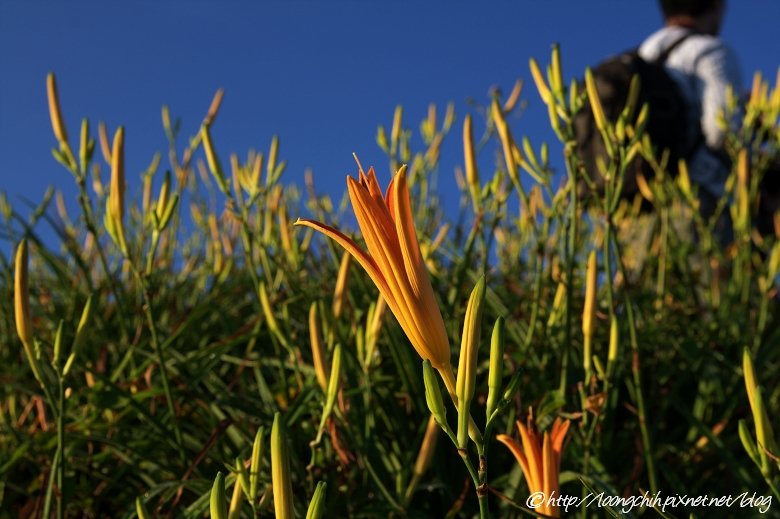 hualien_trip_109.jpg