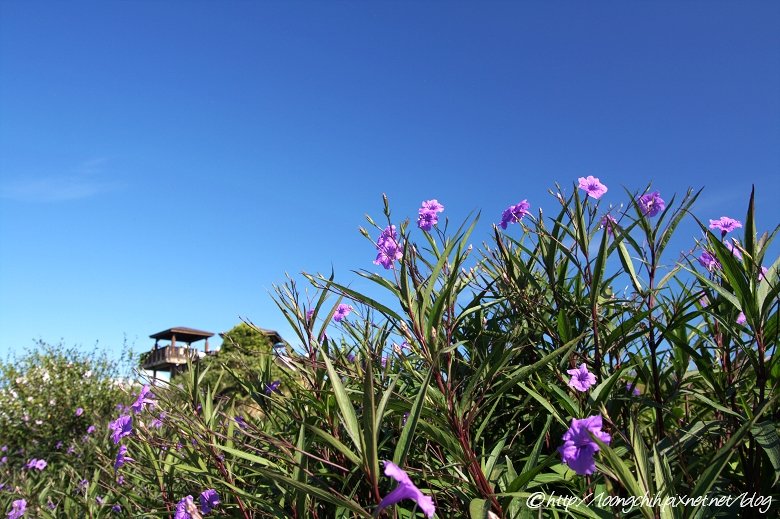 hualien_trip_180.jpg